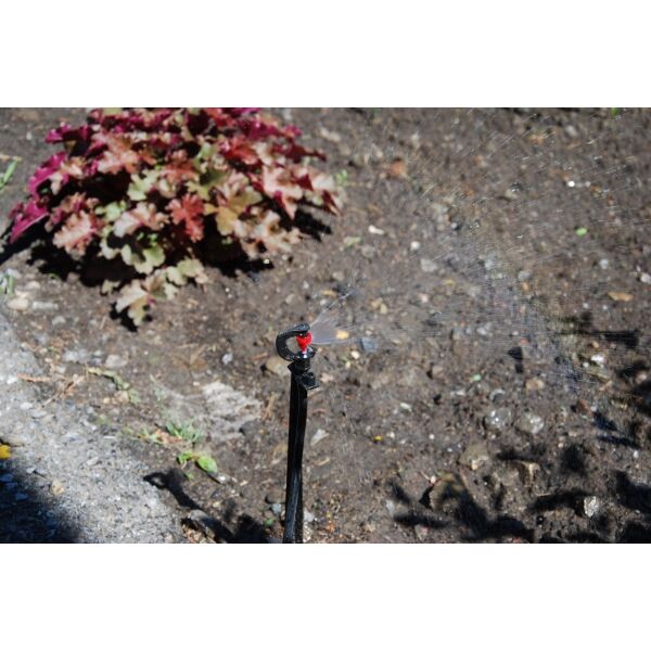 360° Gardenrain Bordersproeier 40cm compleet