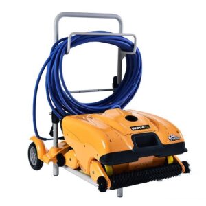 dolphin-wave-150