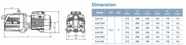 LEO AJm90 gietijzeren JET-pomp